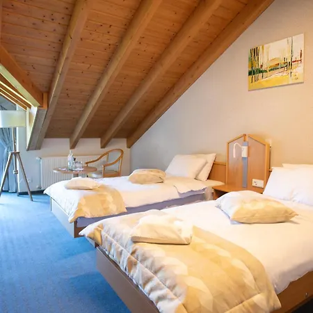 Bessunger Forst 호텔