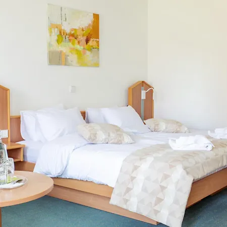 Bessunger Forst ホテル