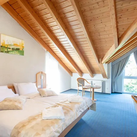 Bessunger Forst 호텔 4*