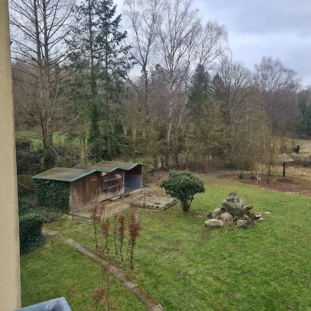 Bessunger Forst