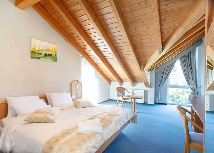 Bessunger Forst Hotel 4*