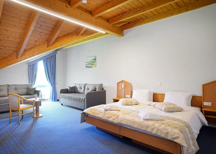 Bessunger Forst Hotel 4*